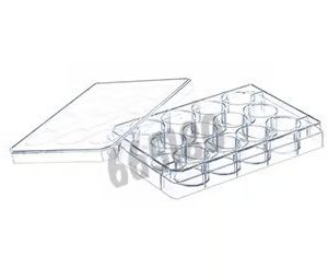 Plaques 12 puits (1x100) 665180